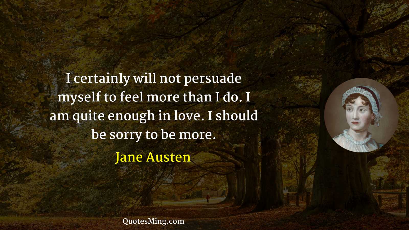 I certainly will not persuade myself to feel more than