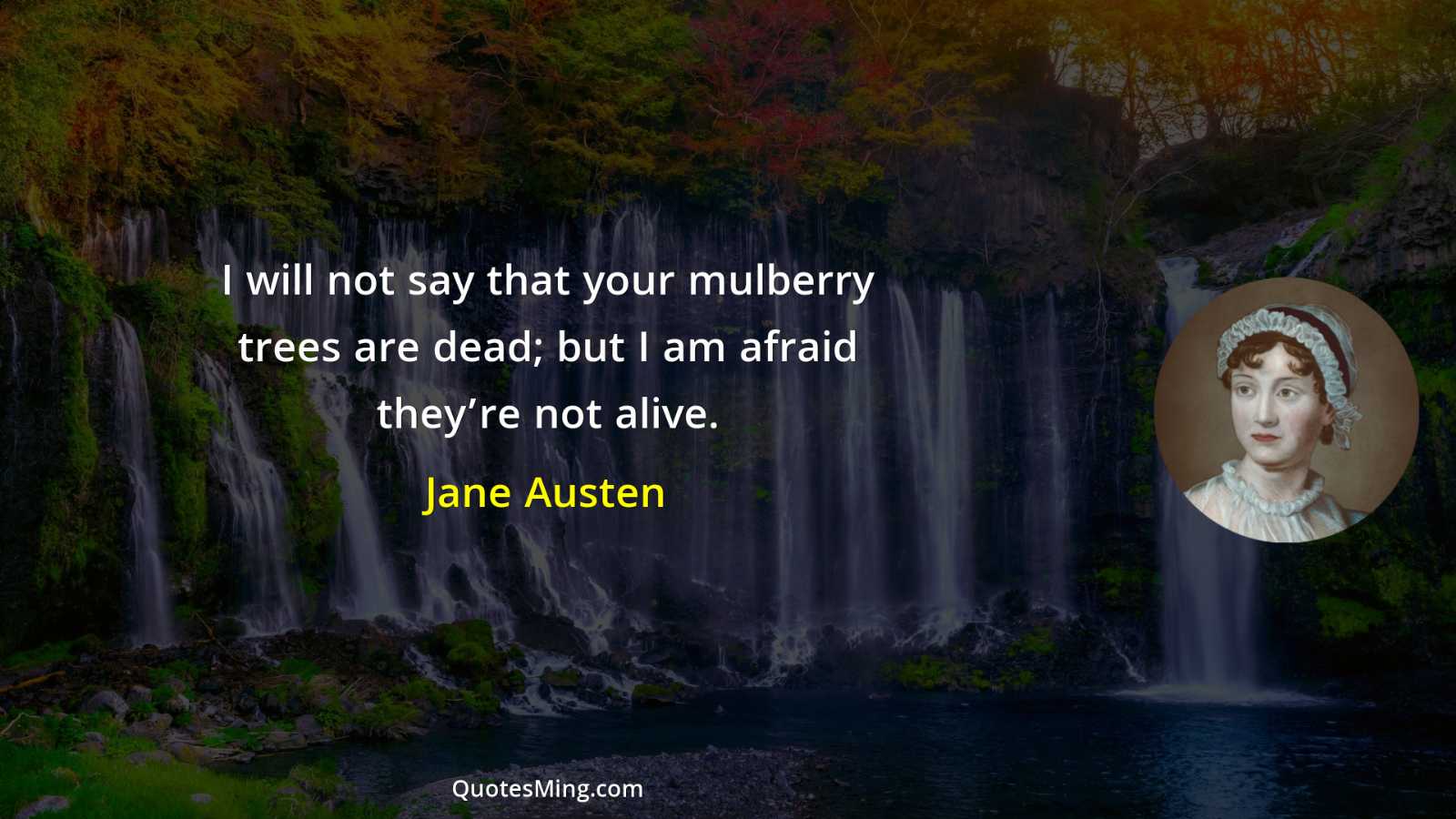 I will not say that your mulberry trees are dead;