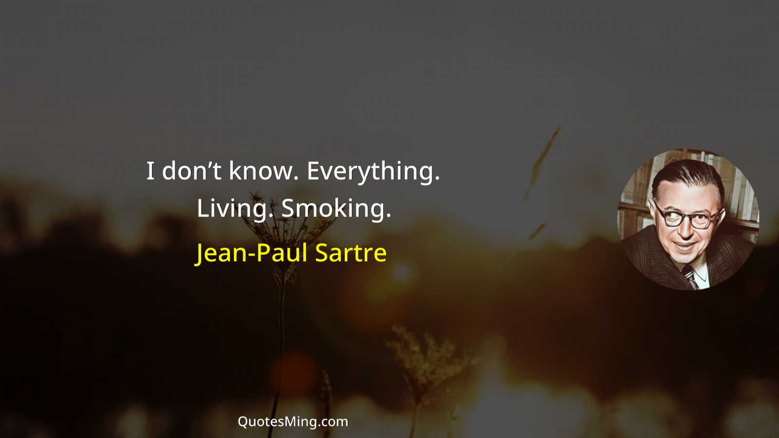 I don’t know Everything Living Smoking