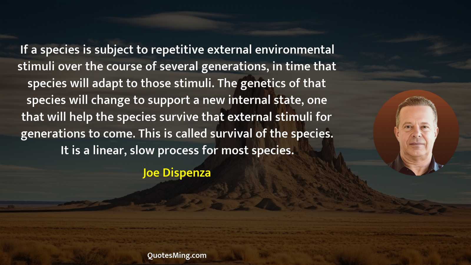 If a species is subject to repetitive external environmental stimuli