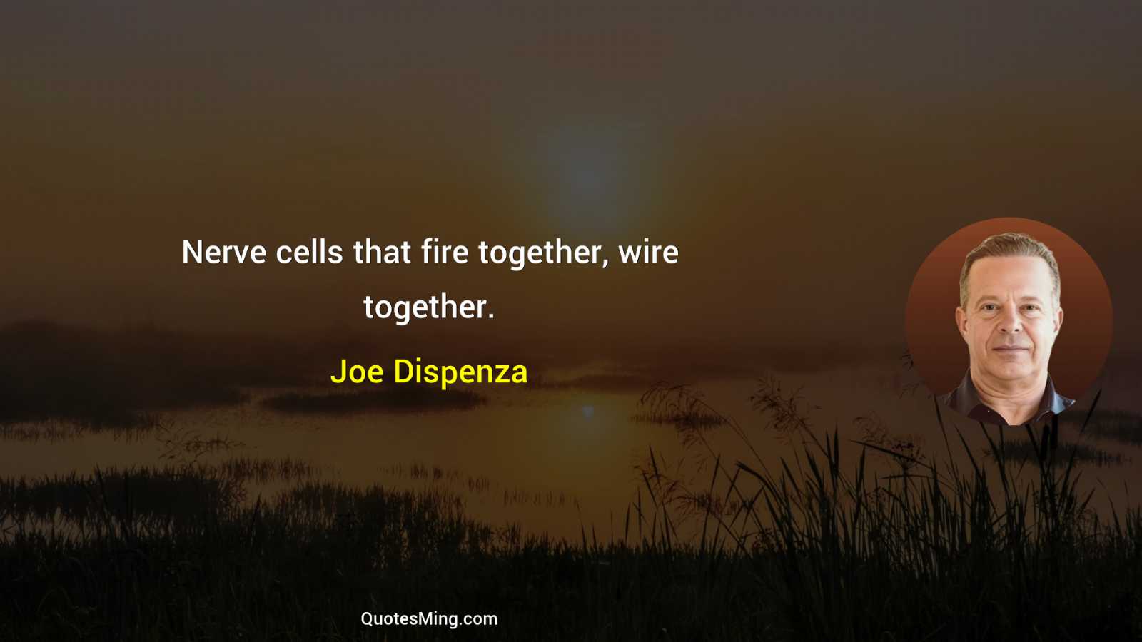 Nerve cells that fire together wire together