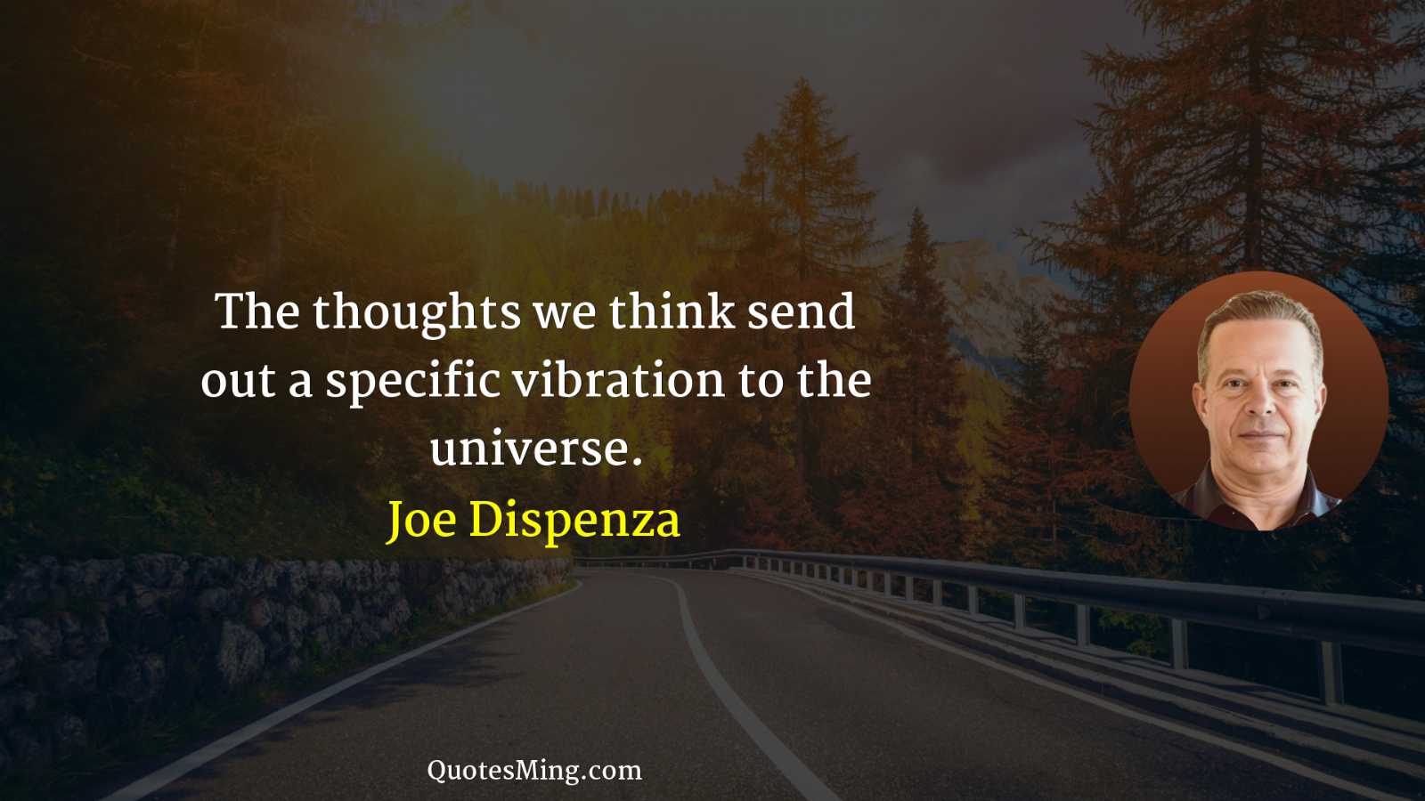 The thoughts we think send out a specific vibration to