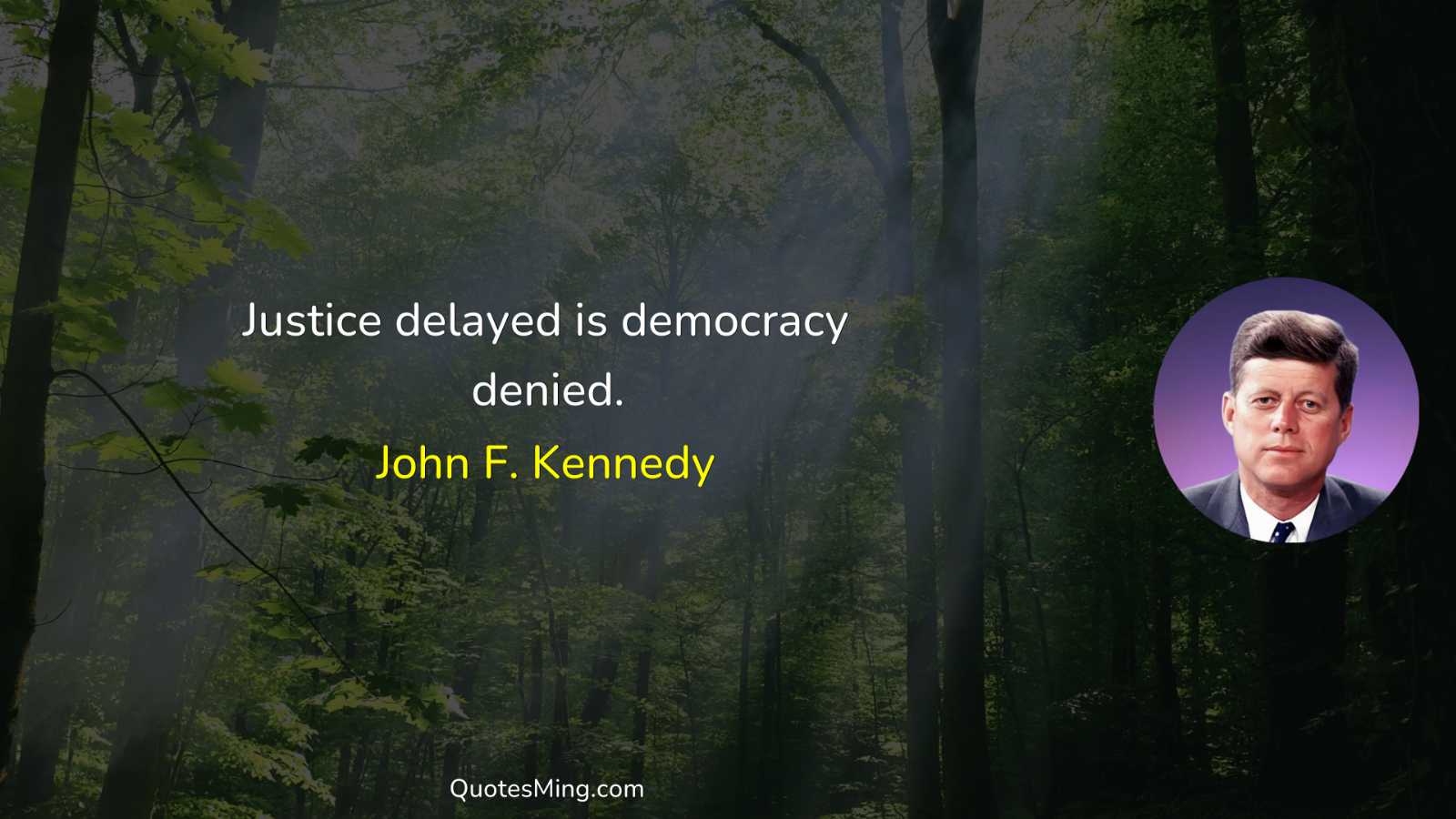 Justice delayed is democracy denied