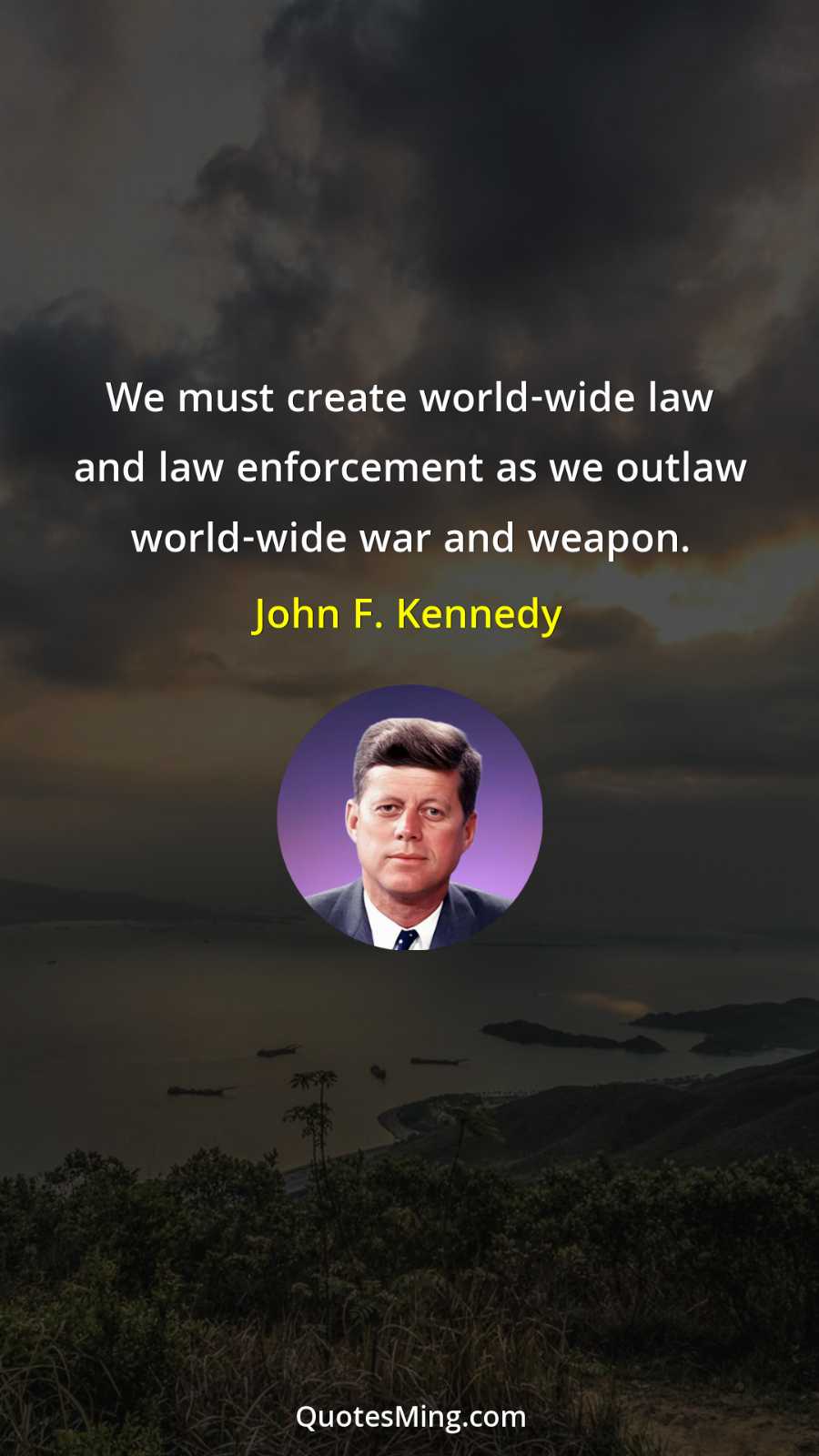 We must create world-wide law and law enforcement as we