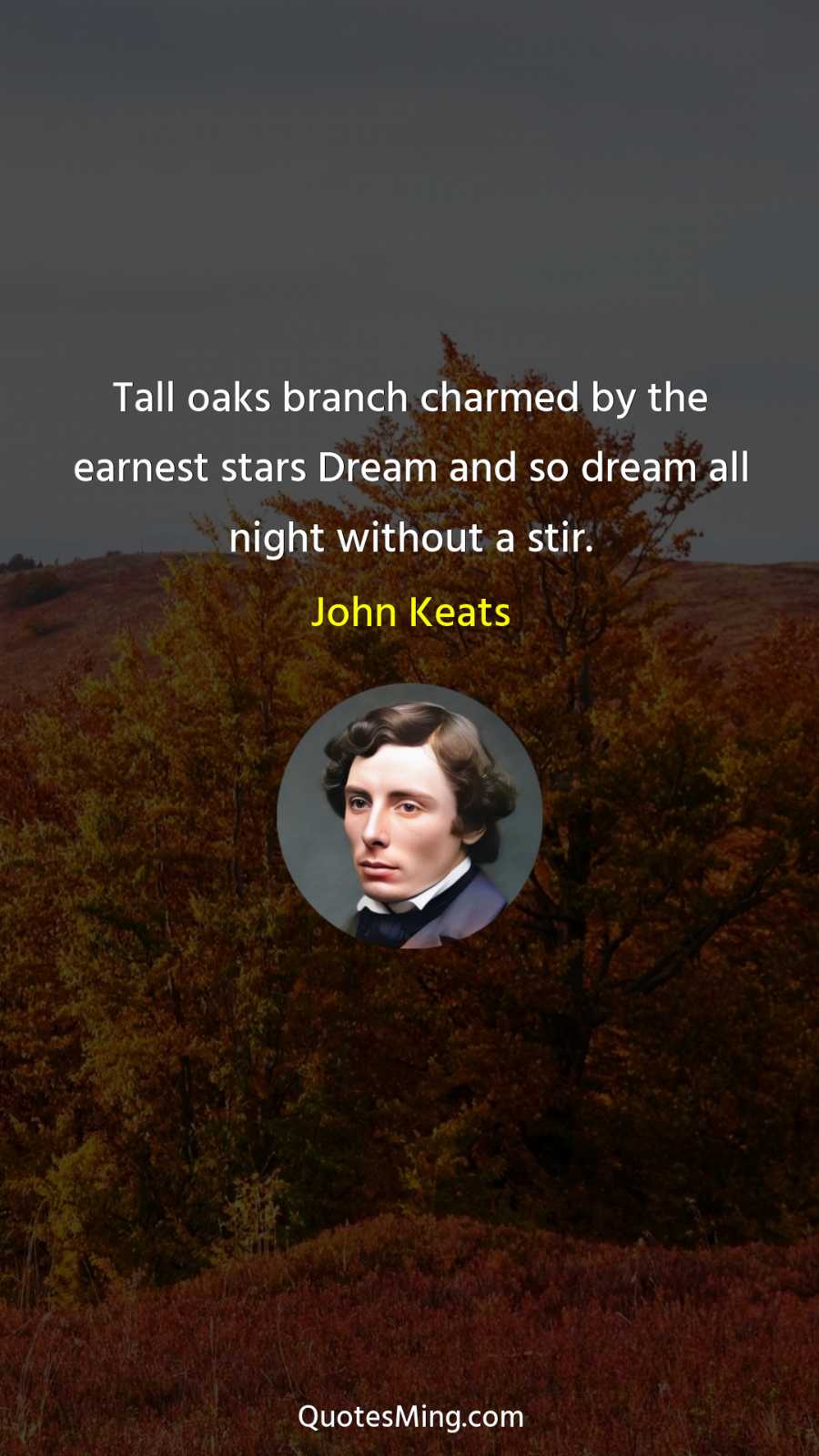 Tall oaks branch charmed by the earnest stars Dream and