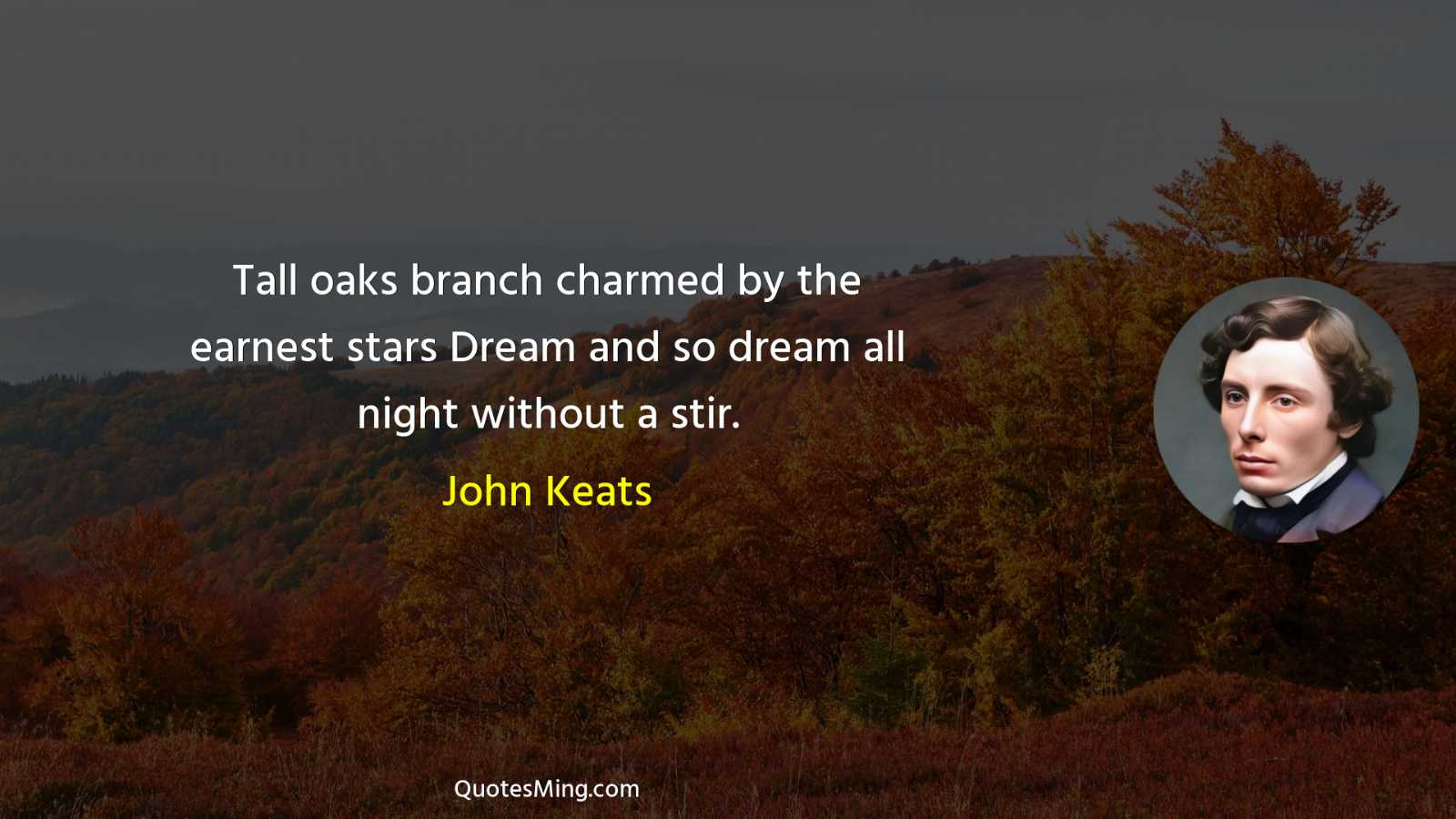 Tall oaks branch charmed by the earnest stars Dream and