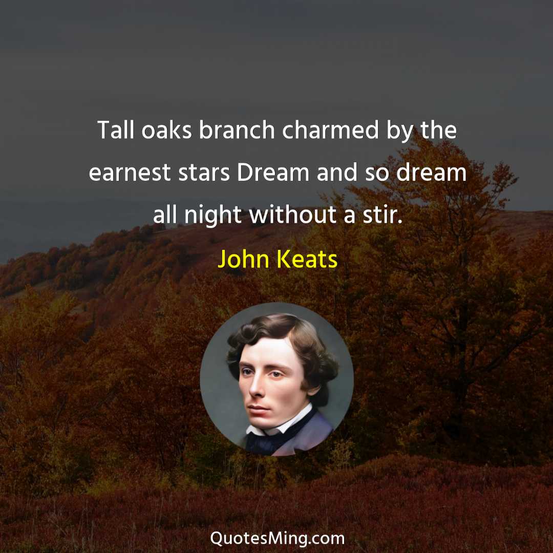 Tall oaks branch charmed by the earnest stars Dream and