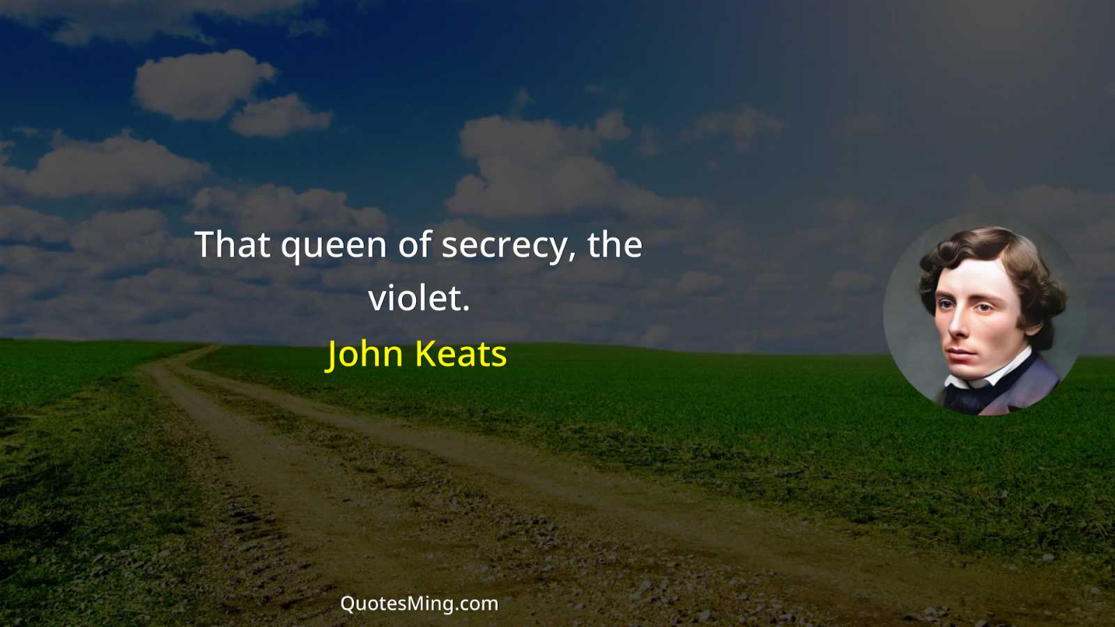 That queen of secrecy the violet