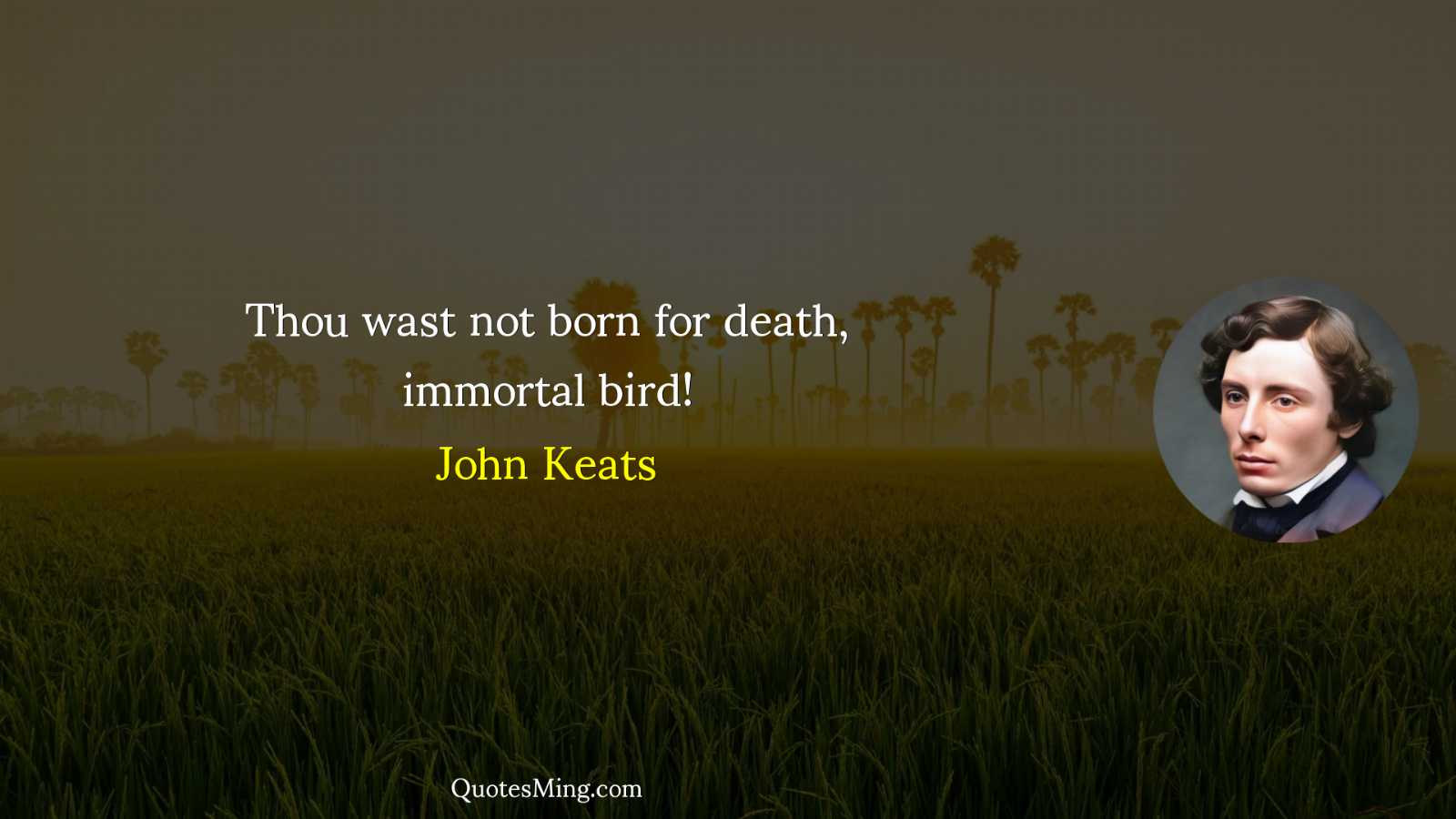 Thou wast not born for death immortal bird