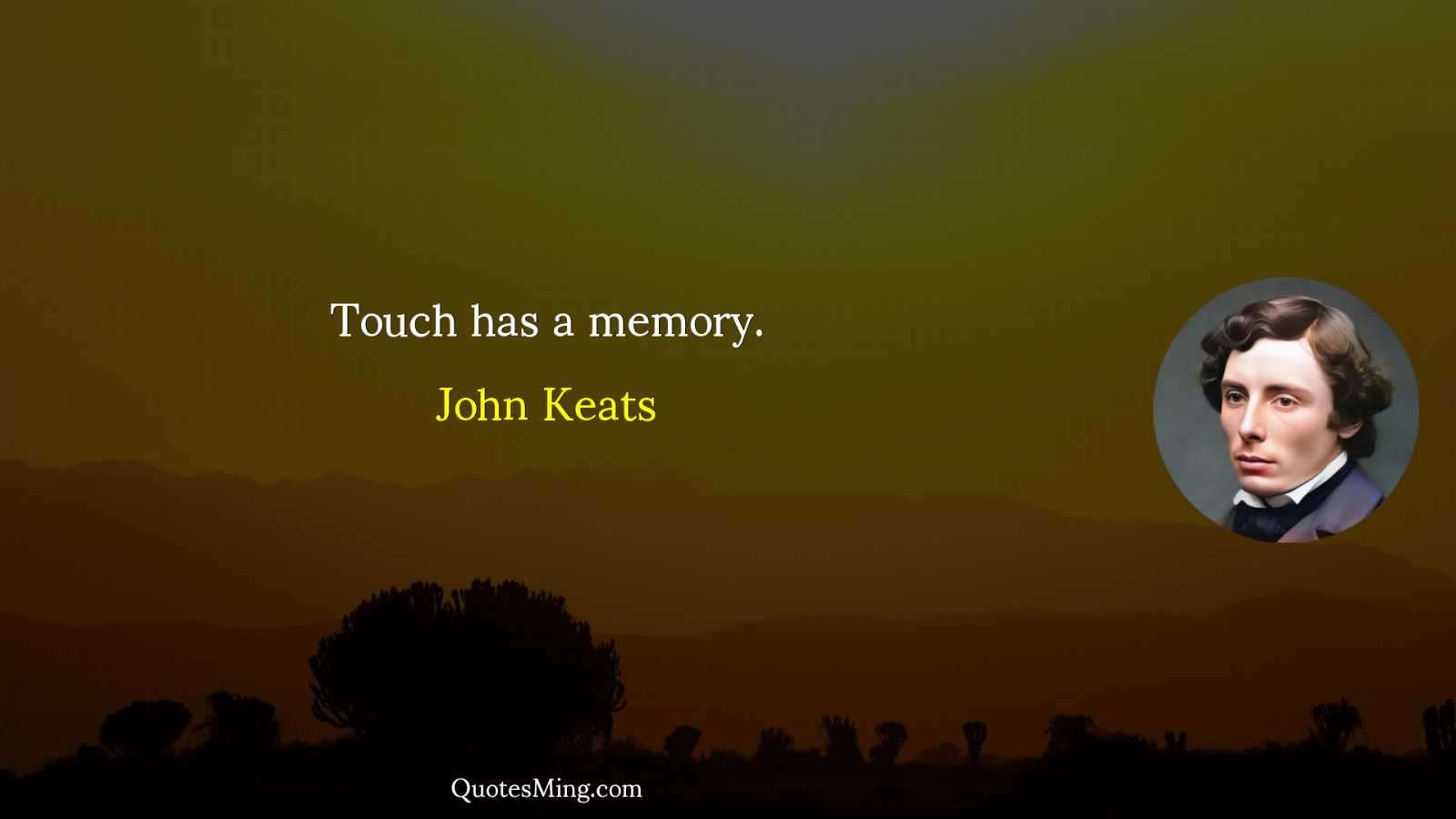 Touch has a memory