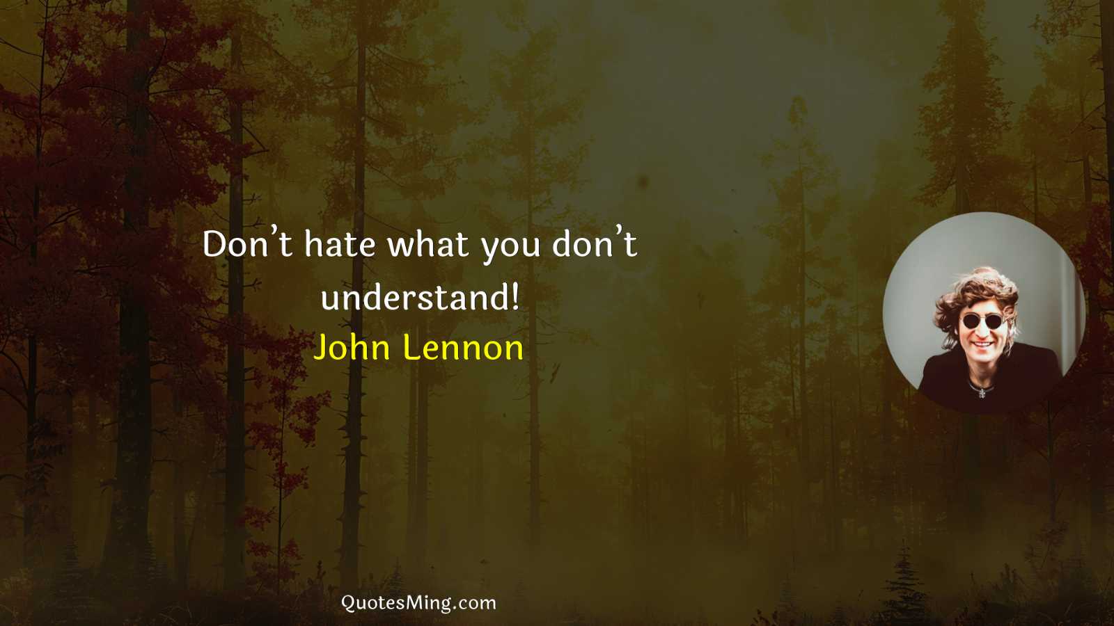 Don’t hate what you don’t understand