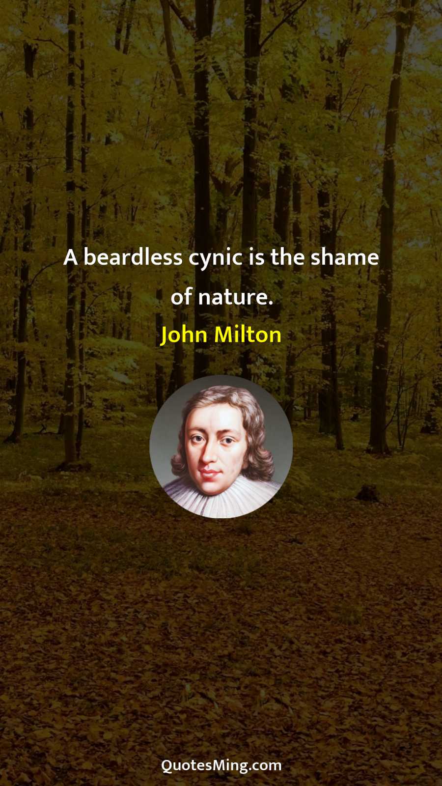 A beardless cynic is the shame of nature