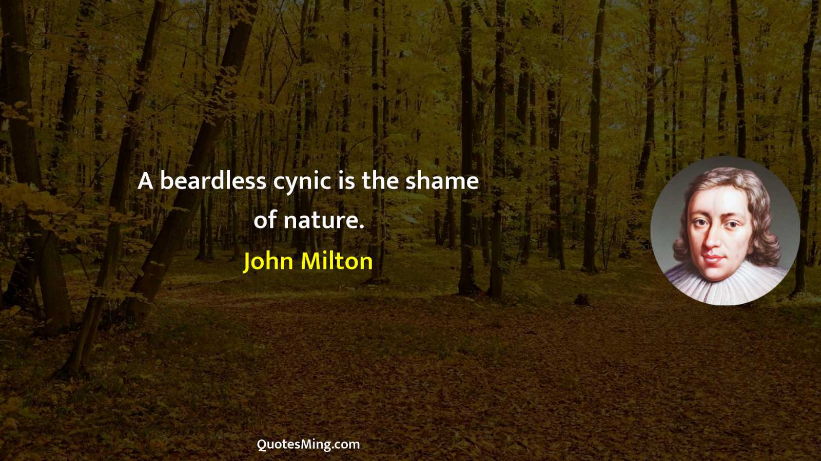 A beardless cynic is the shame of nature