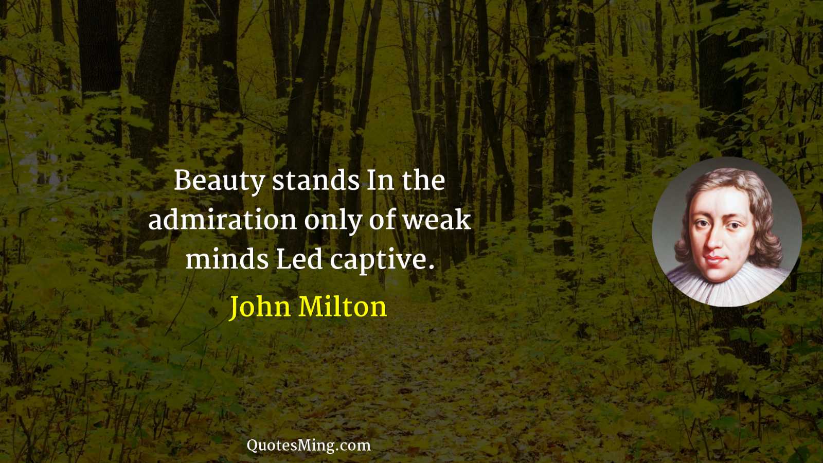 Beauty stands In the admiration only of weak minds Led