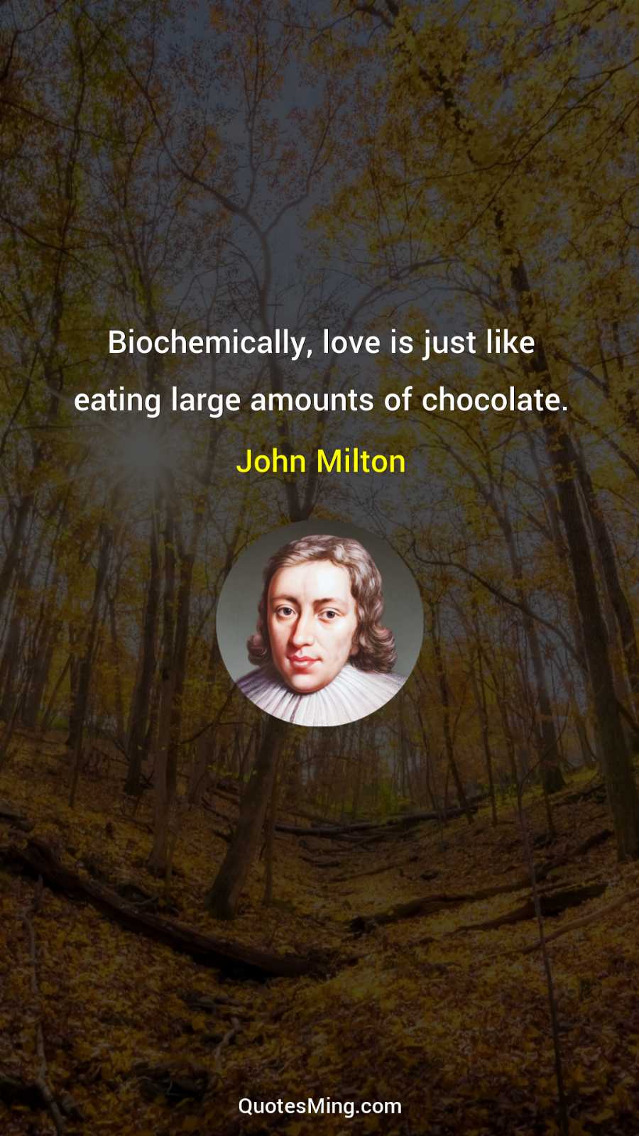 Biochemically love is just like eating large amounts of chocolate