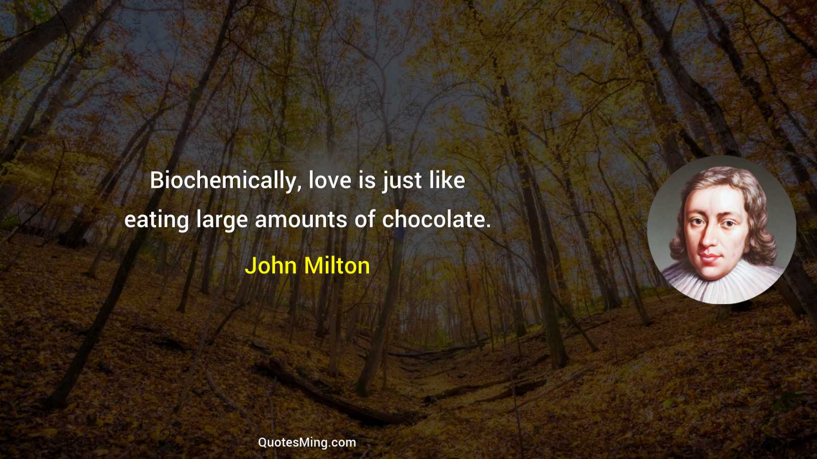 Biochemically love is just like eating large amounts of chocolate