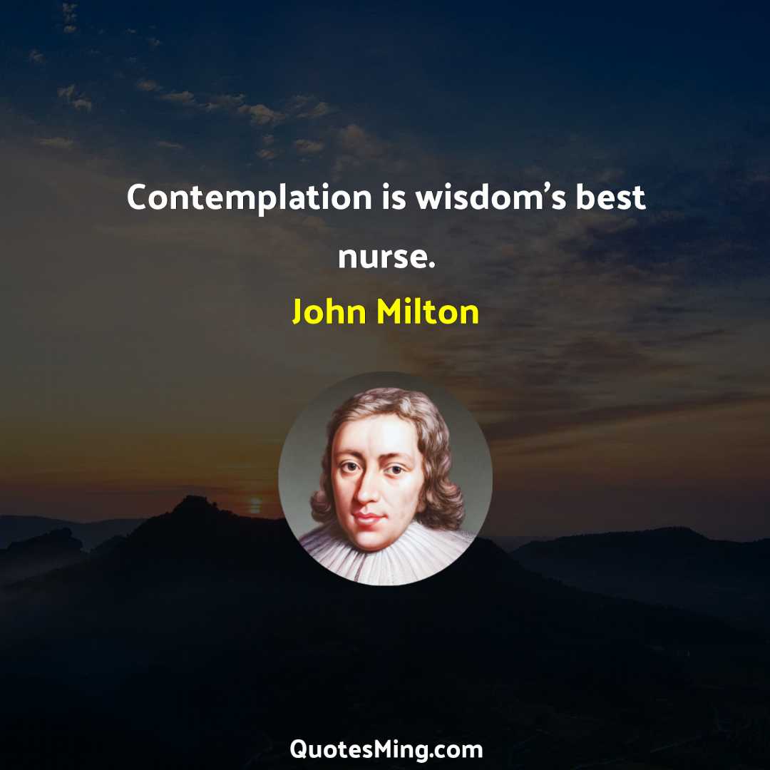 Contemplation is wisdom's best nurse