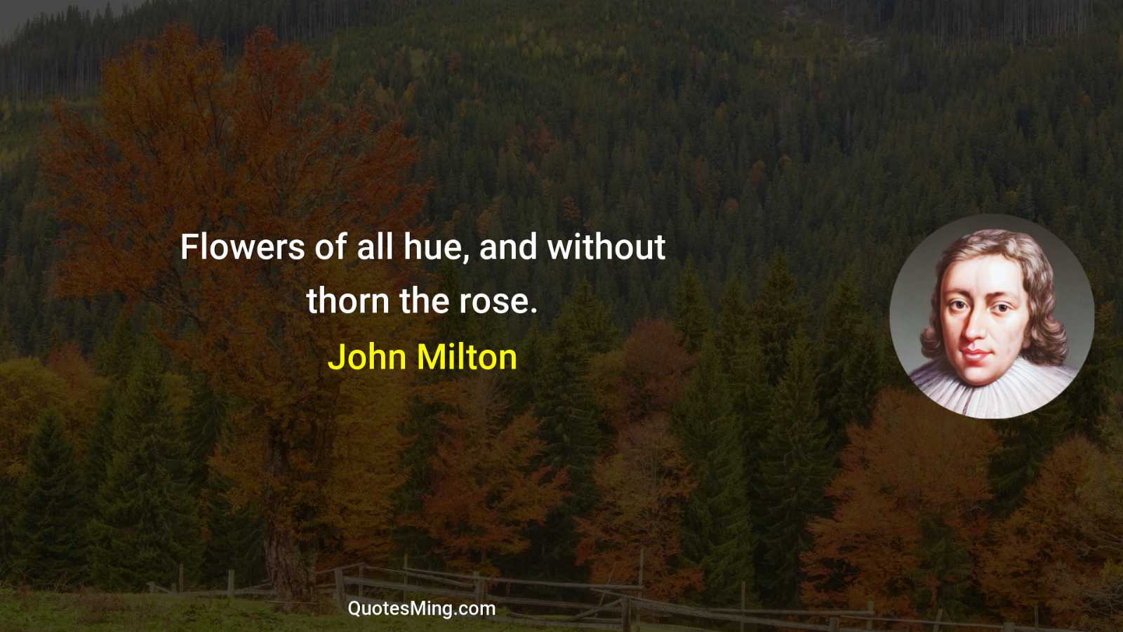 Flowers of all hue and without thorn the rose