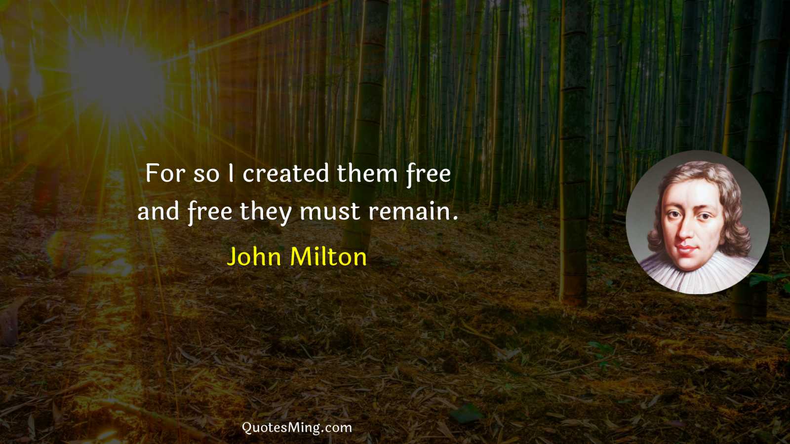 For so I created them free and free they must