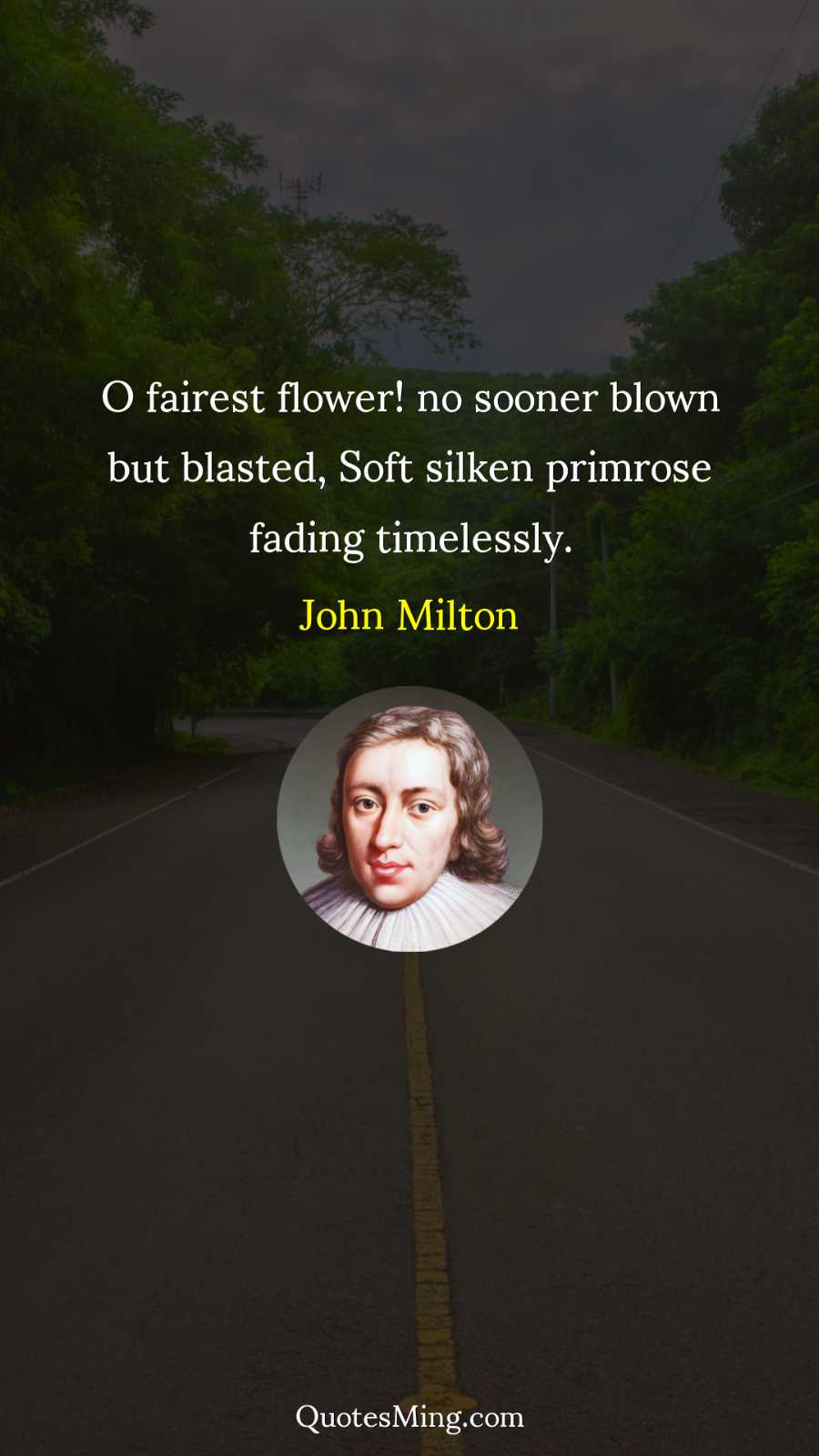 O fairest flower no sooner blown but blasted Soft silken