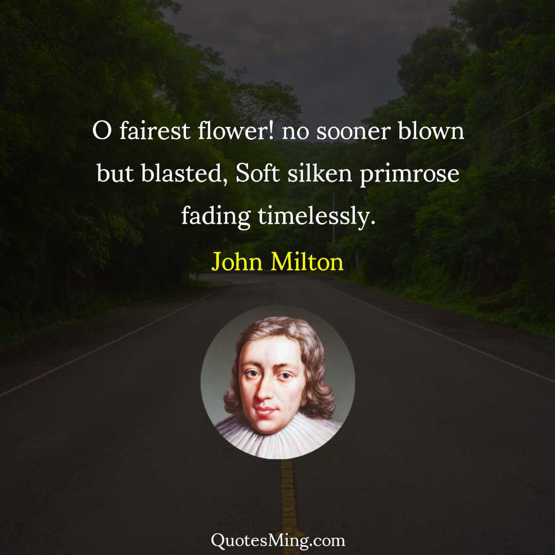 O fairest flower no sooner blown but blasted Soft silken