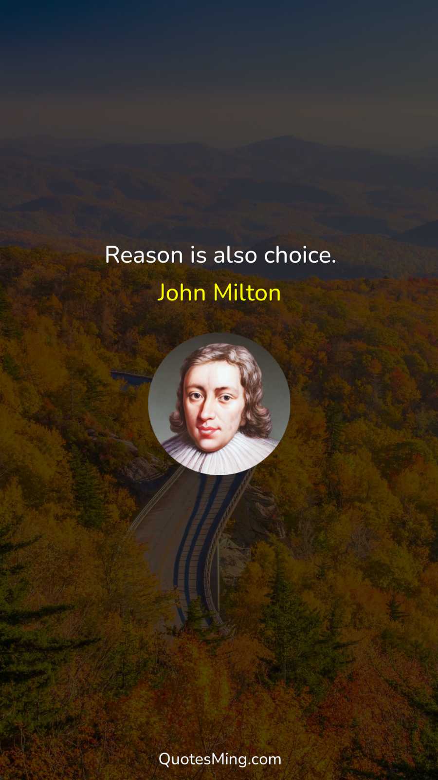 Reason is also choice