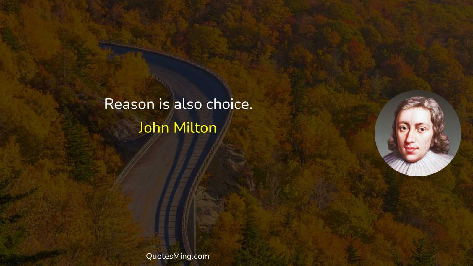 Reason is also choice