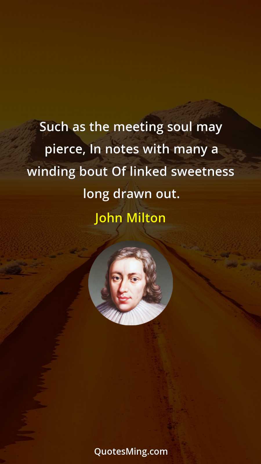 Such as the meeting soul may pierce In notes with