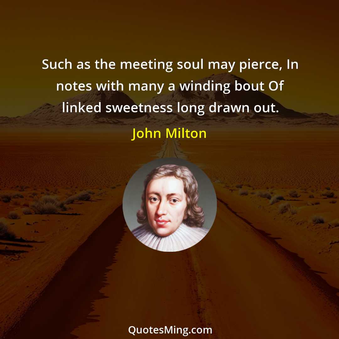 Such as the meeting soul may pierce In notes with