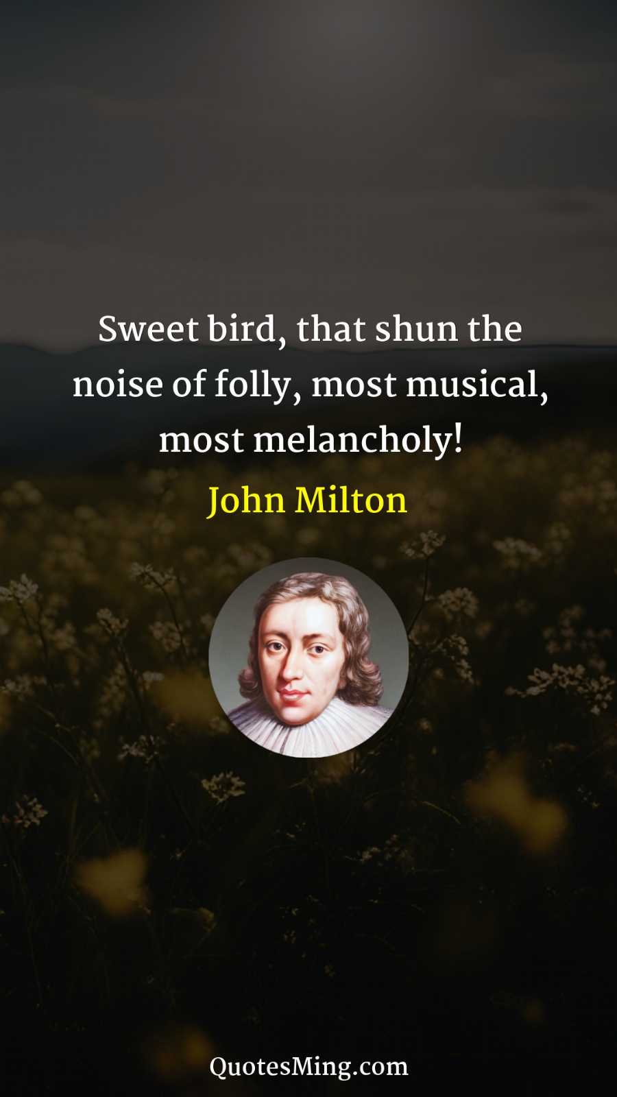 Sweet bird that shun the noise of folly most musical