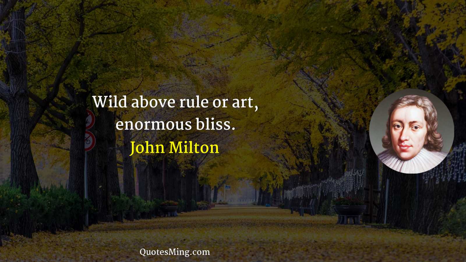 Wild above rule or art enormous bliss