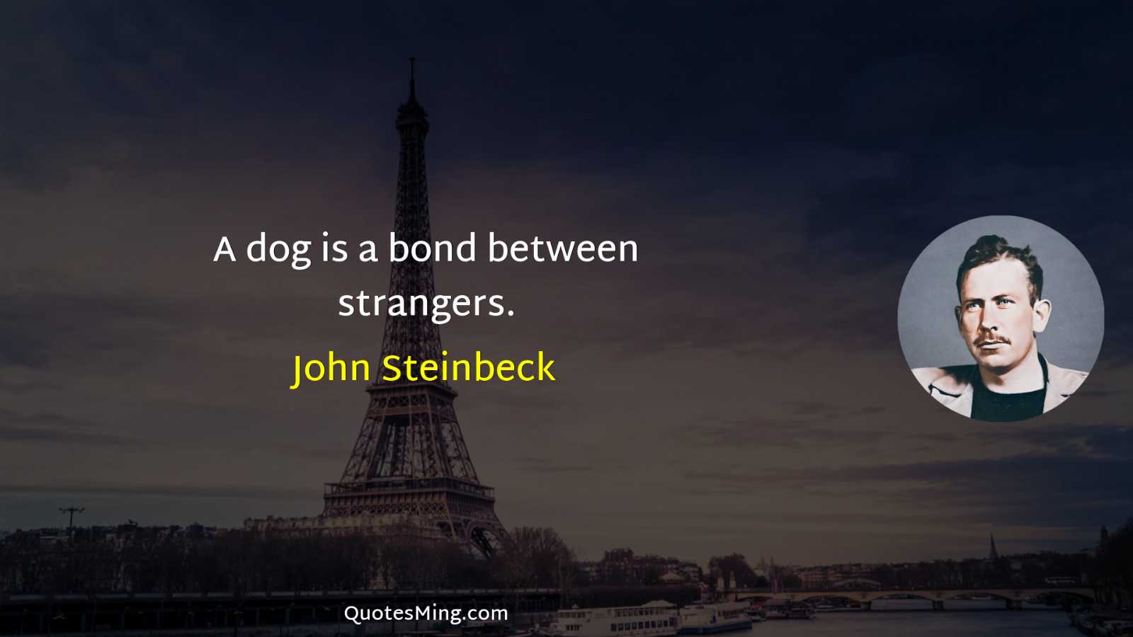 A dog is a bond between strangers