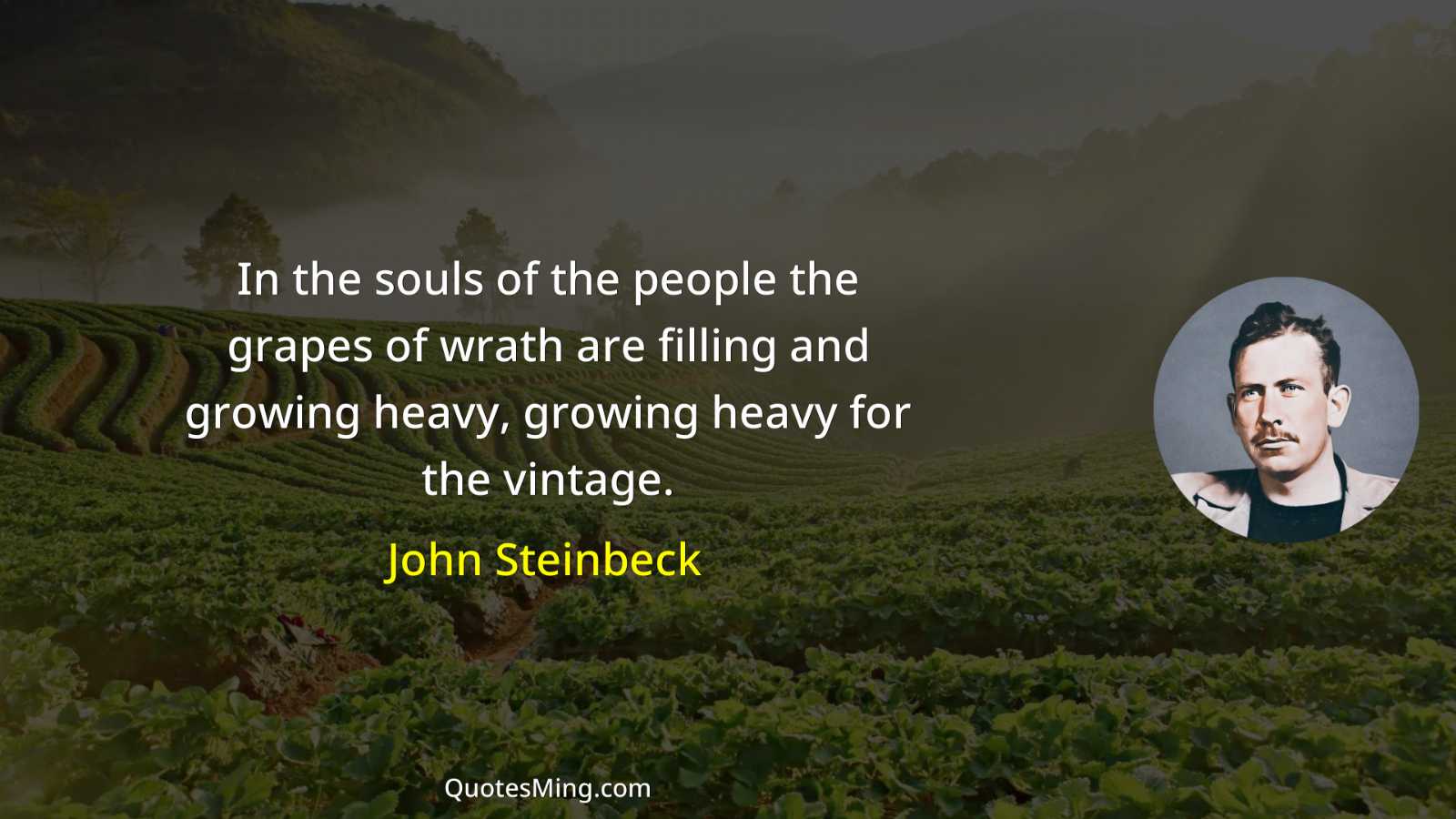 In the souls of the people the grapes of wrath