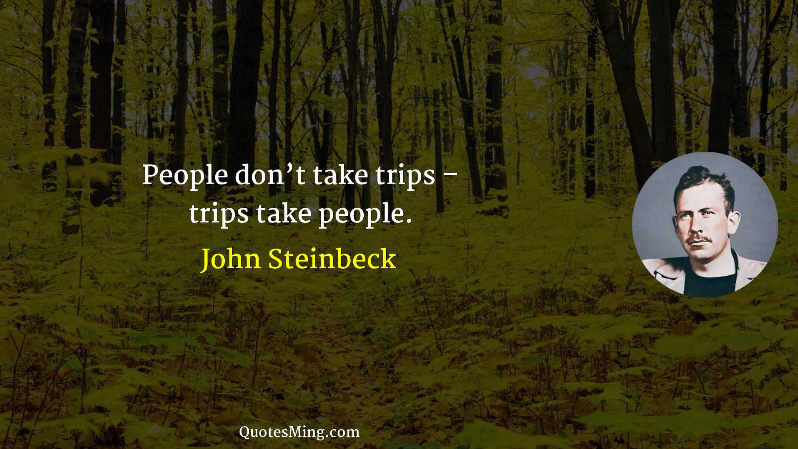 People don’t take trips – trips take people