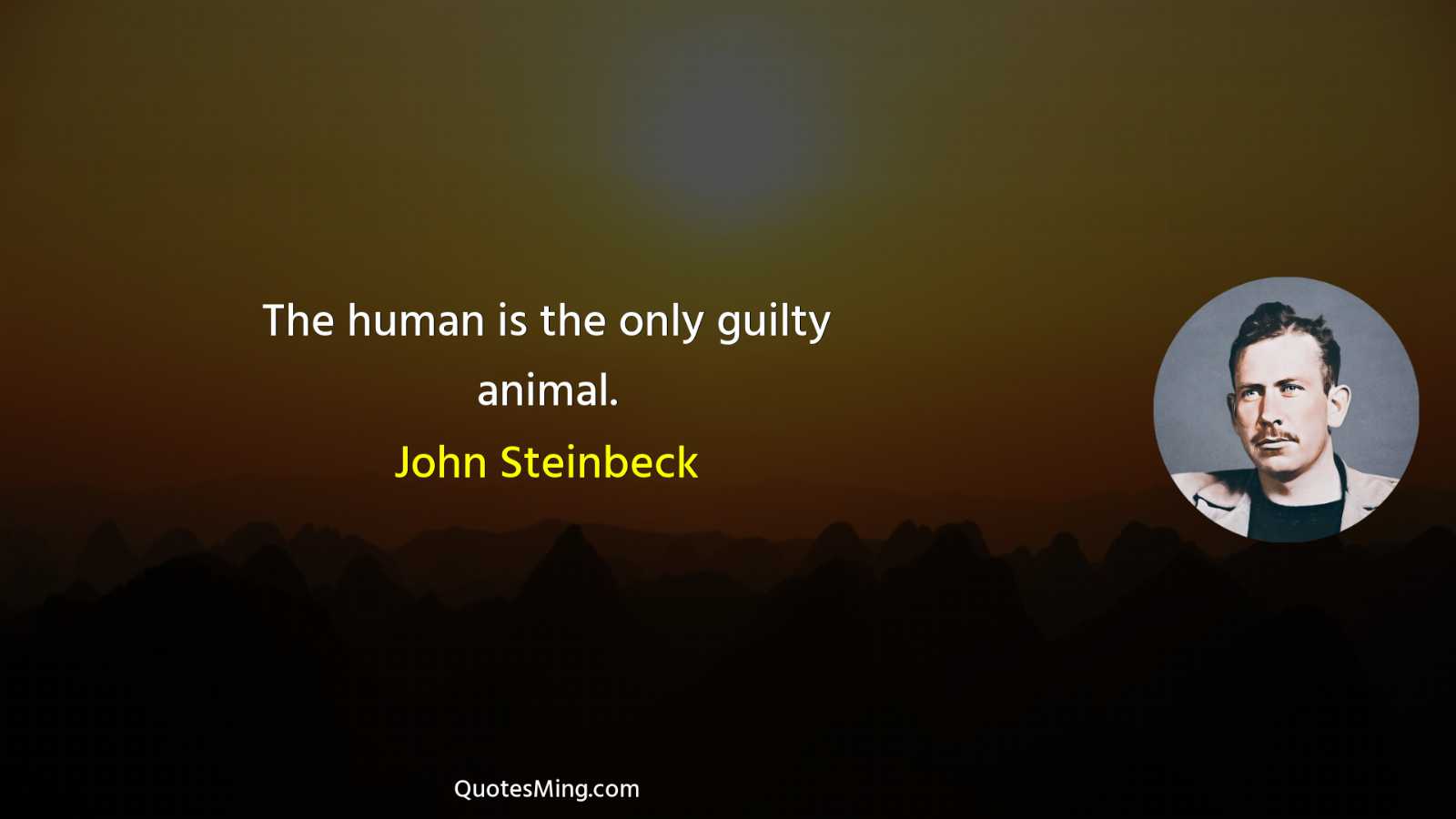 The human is the only guilty animal