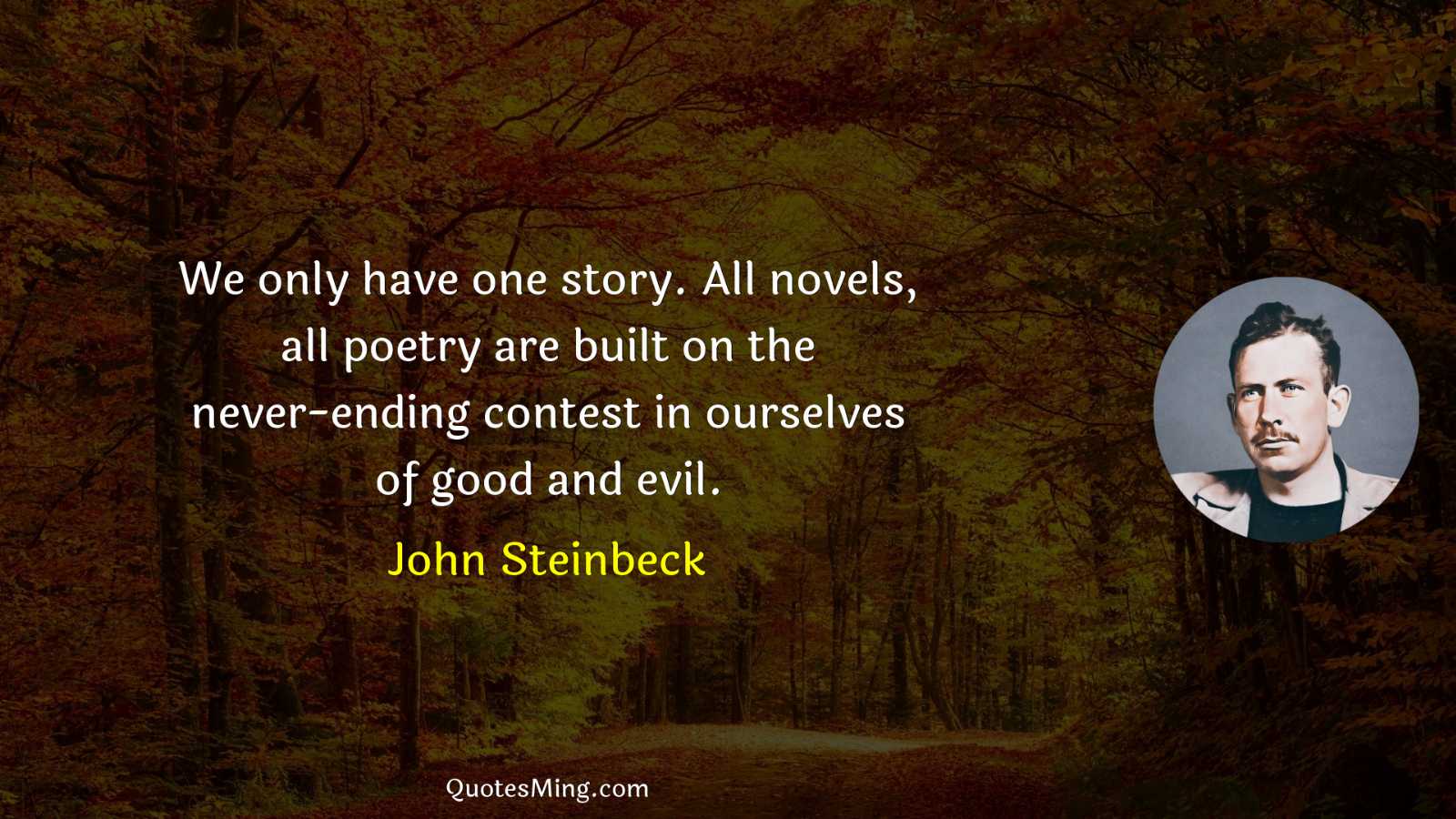 We only have one story All novels all poetry are