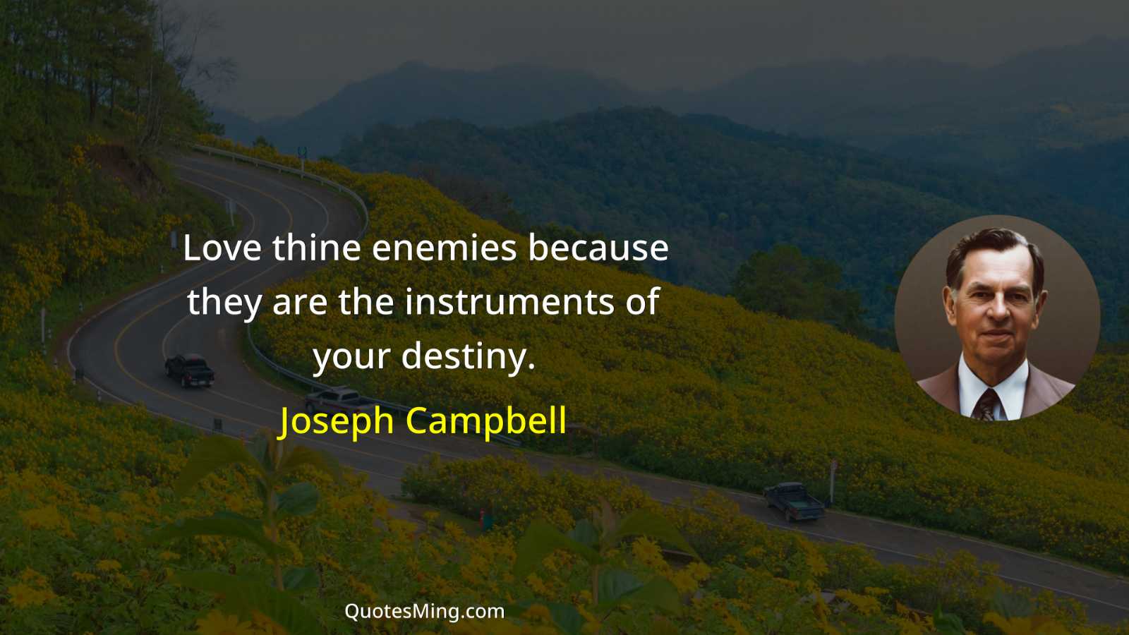 Love thine enemies because they are the instruments of your