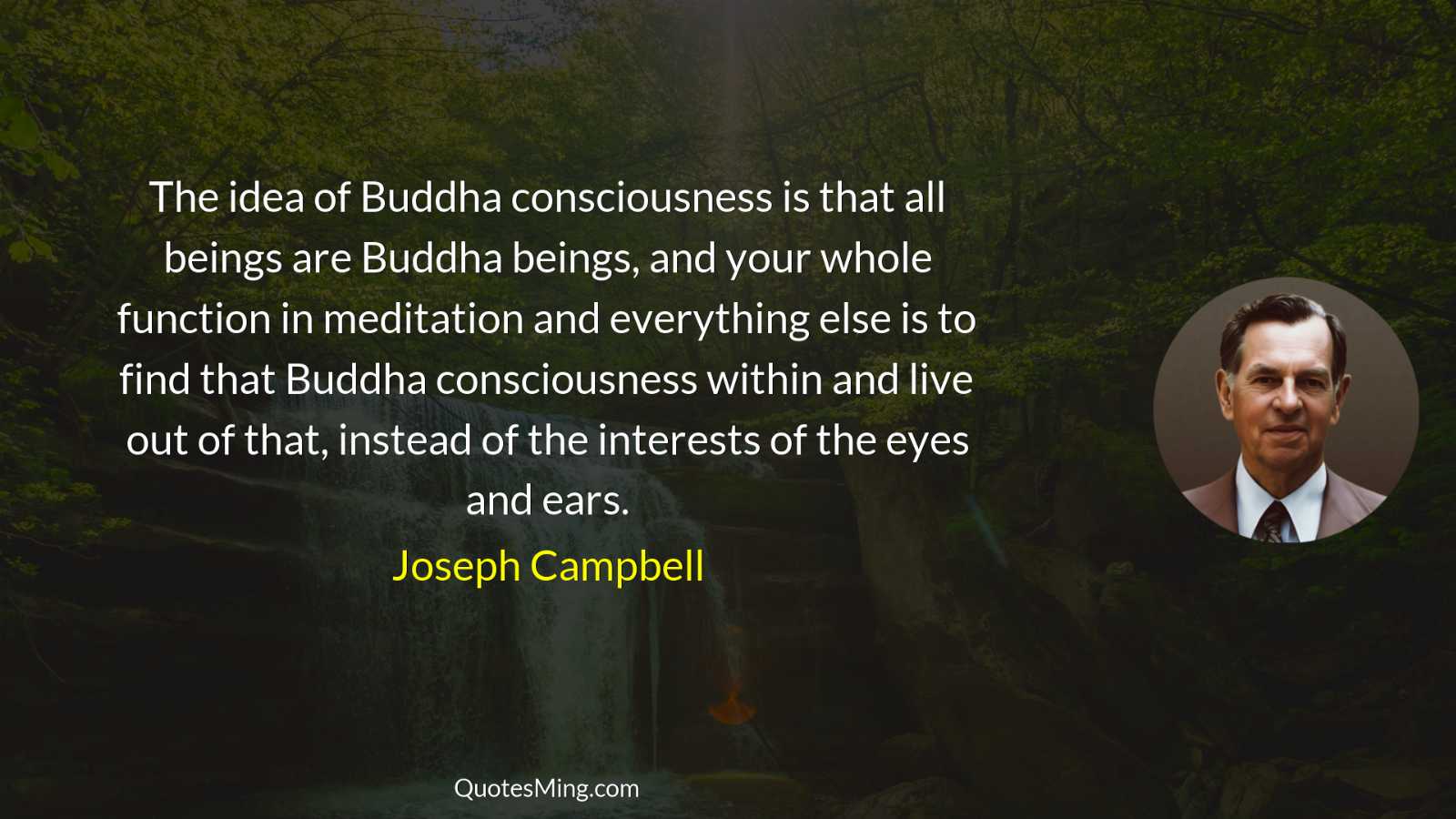 The idea of Buddha consciousness is that all beings are