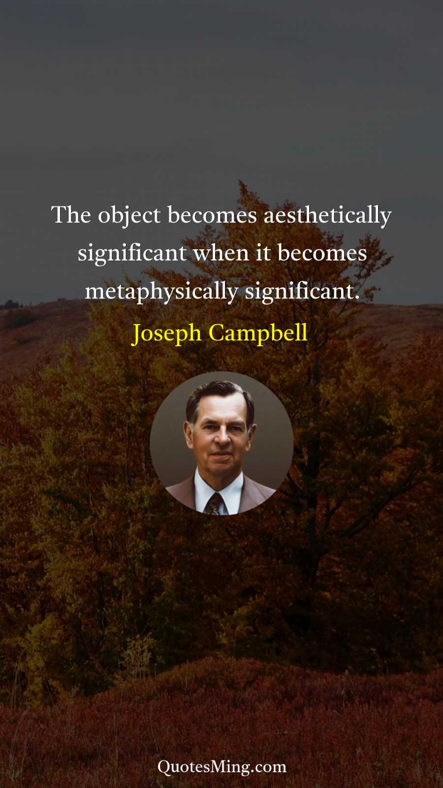 The object becomes aesthetically significant when it becomes metaphysically significant