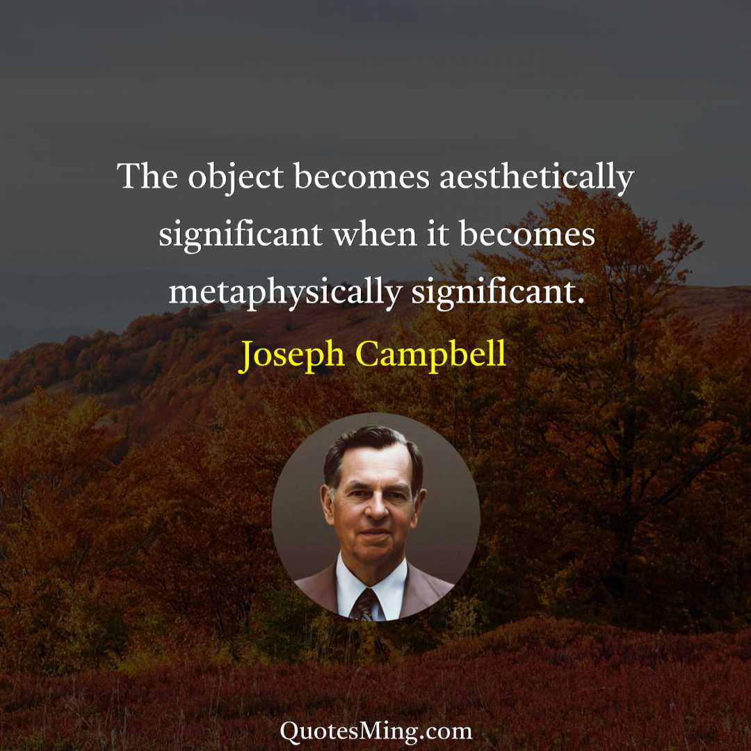 The object becomes aesthetically significant when it becomes metaphysically significant