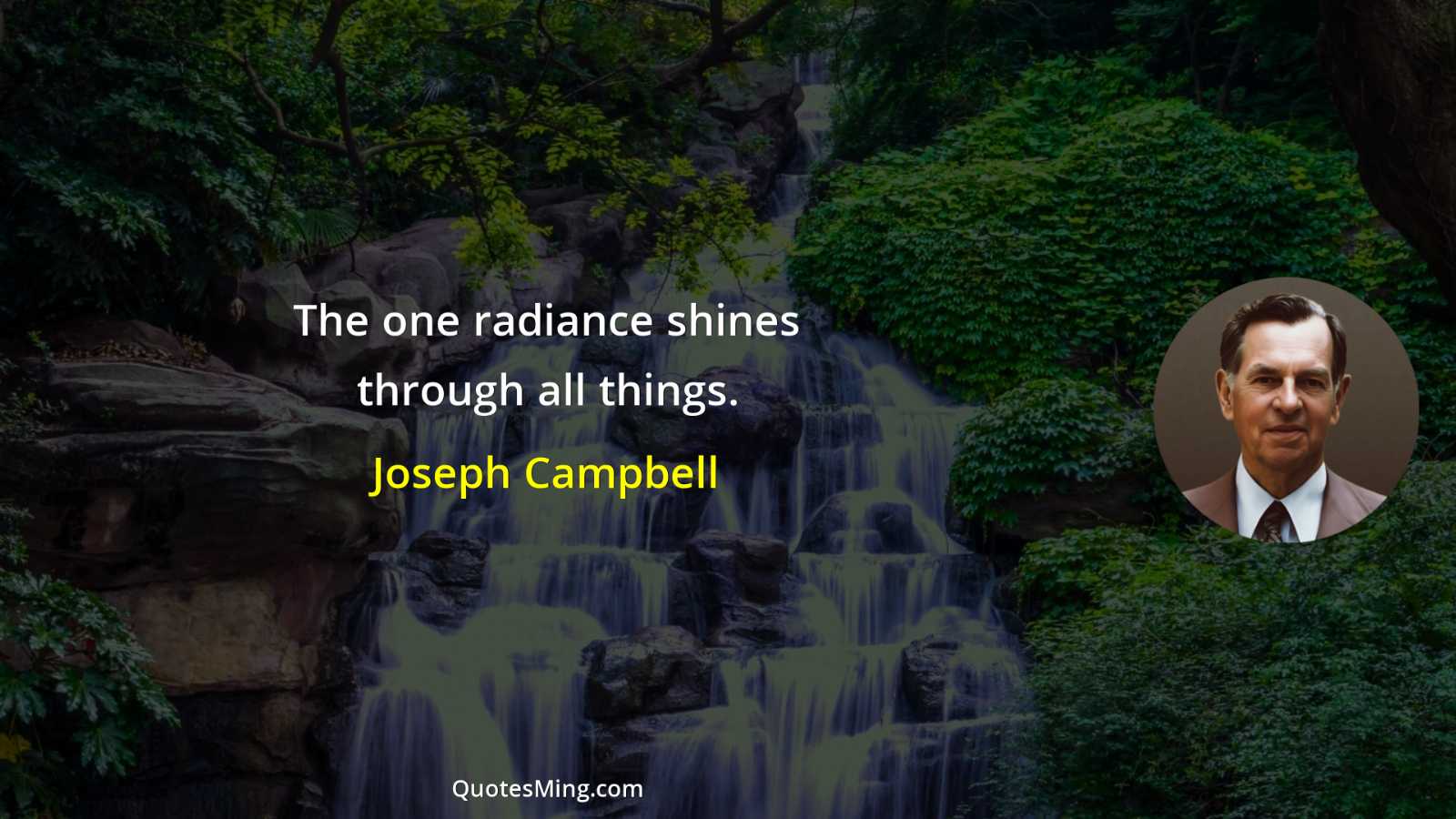 The one radiance shines through all things