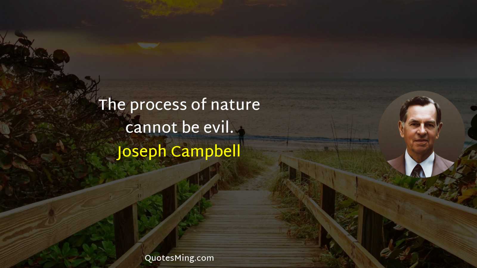 The process of nature cannot be evil