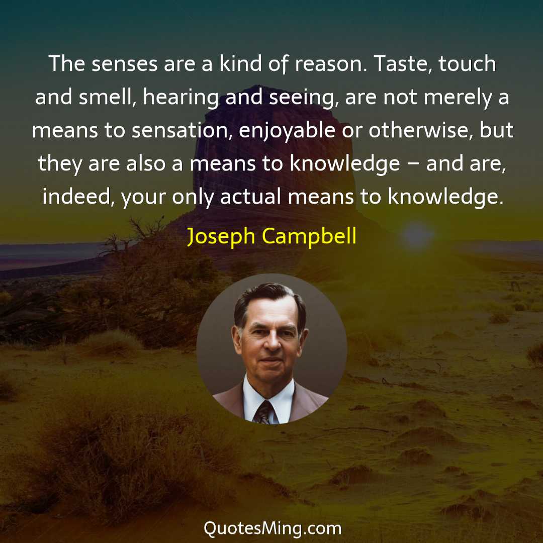 The senses are a kind of reason Taste touch and