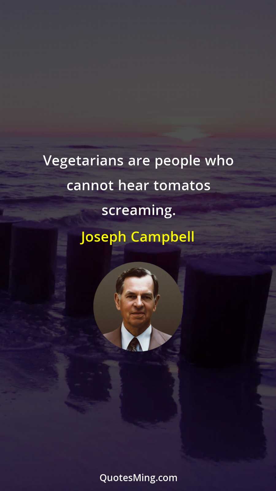 Vegetarians are people who cannot hear tomatos screaming