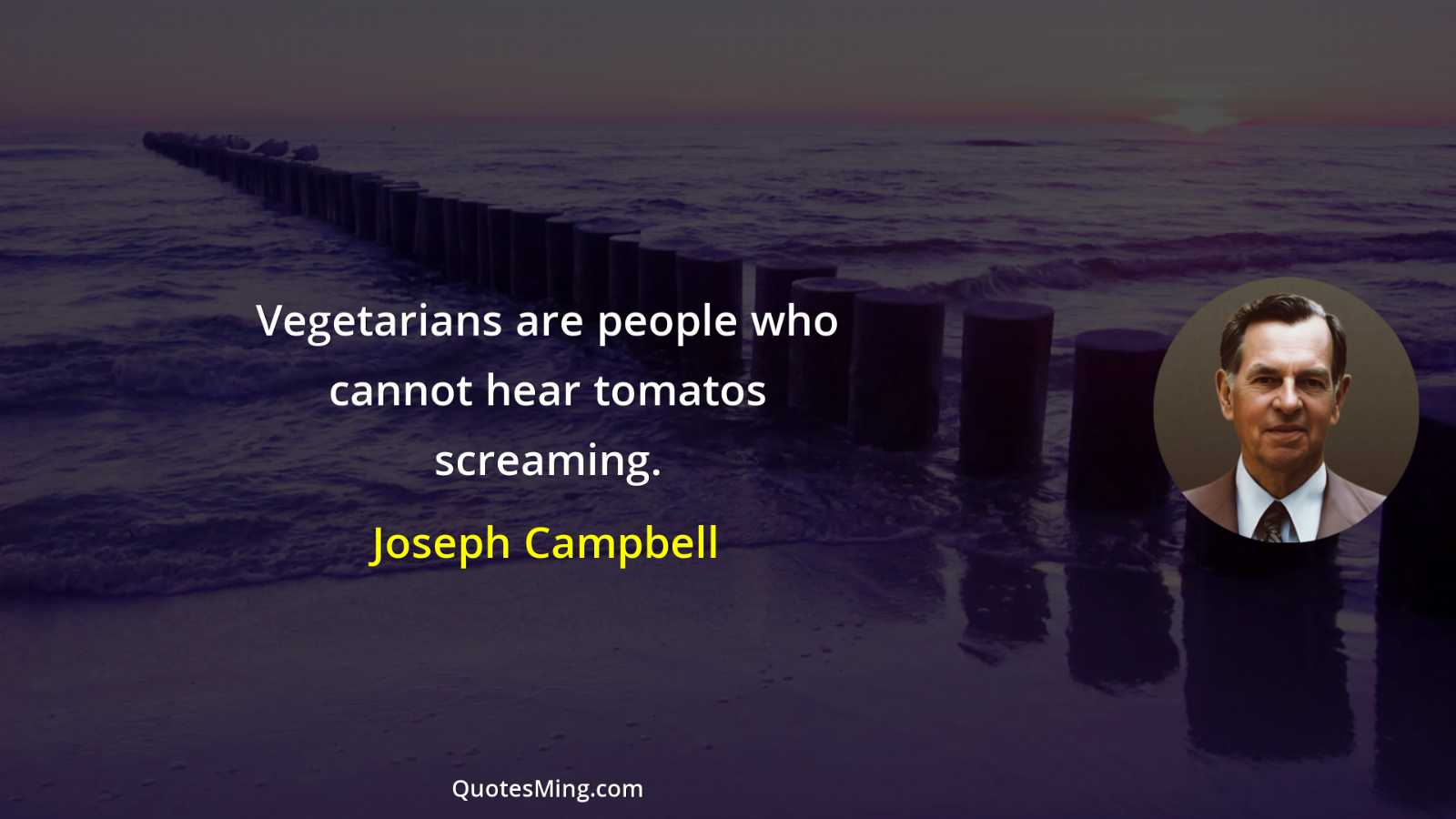 Vegetarians are people who cannot hear tomatos screaming