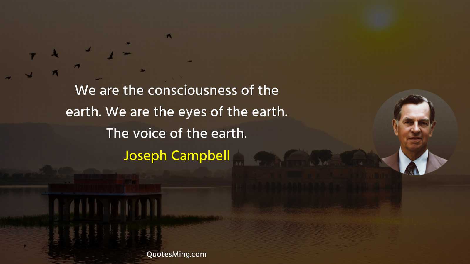 We are the consciousness of the earth We are the