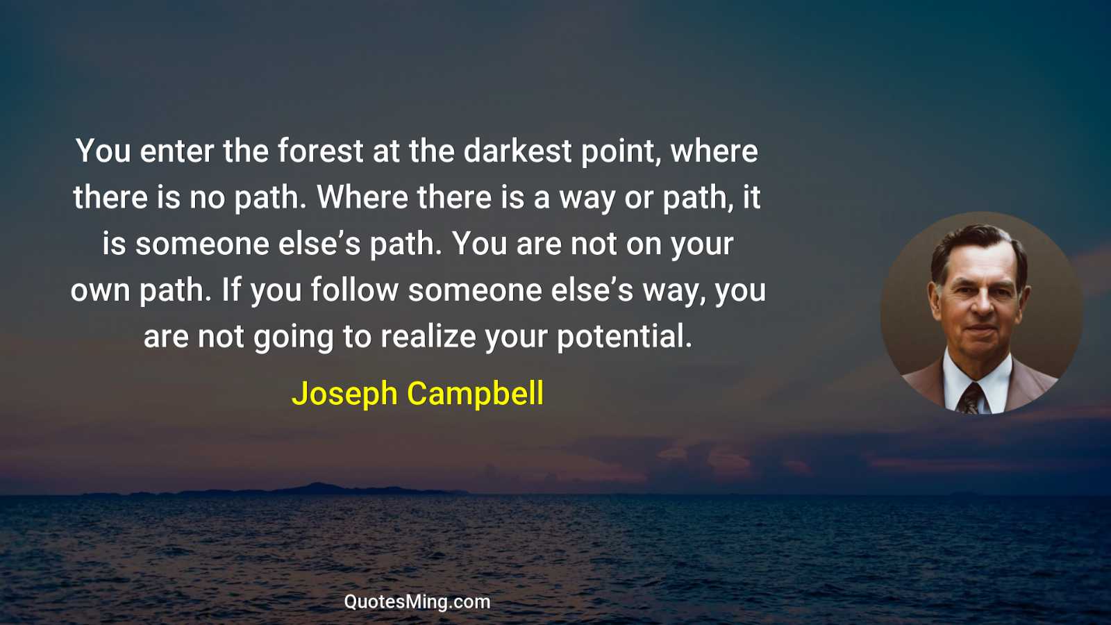 You enter the forest at the darkest point where there