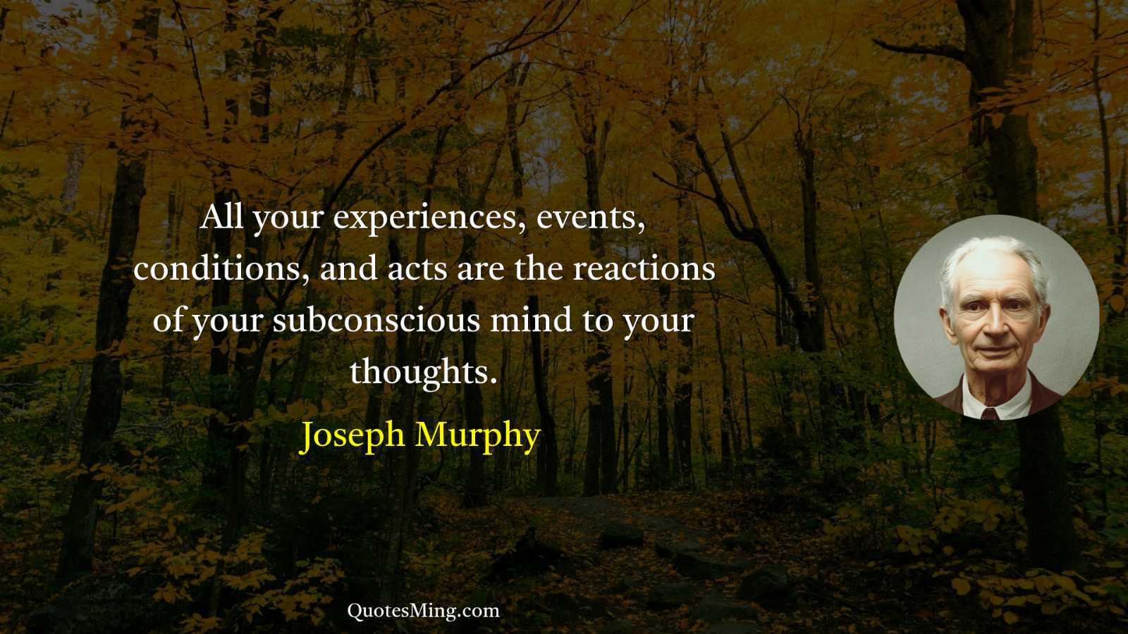 All your experiences events conditions and acts are the reactions