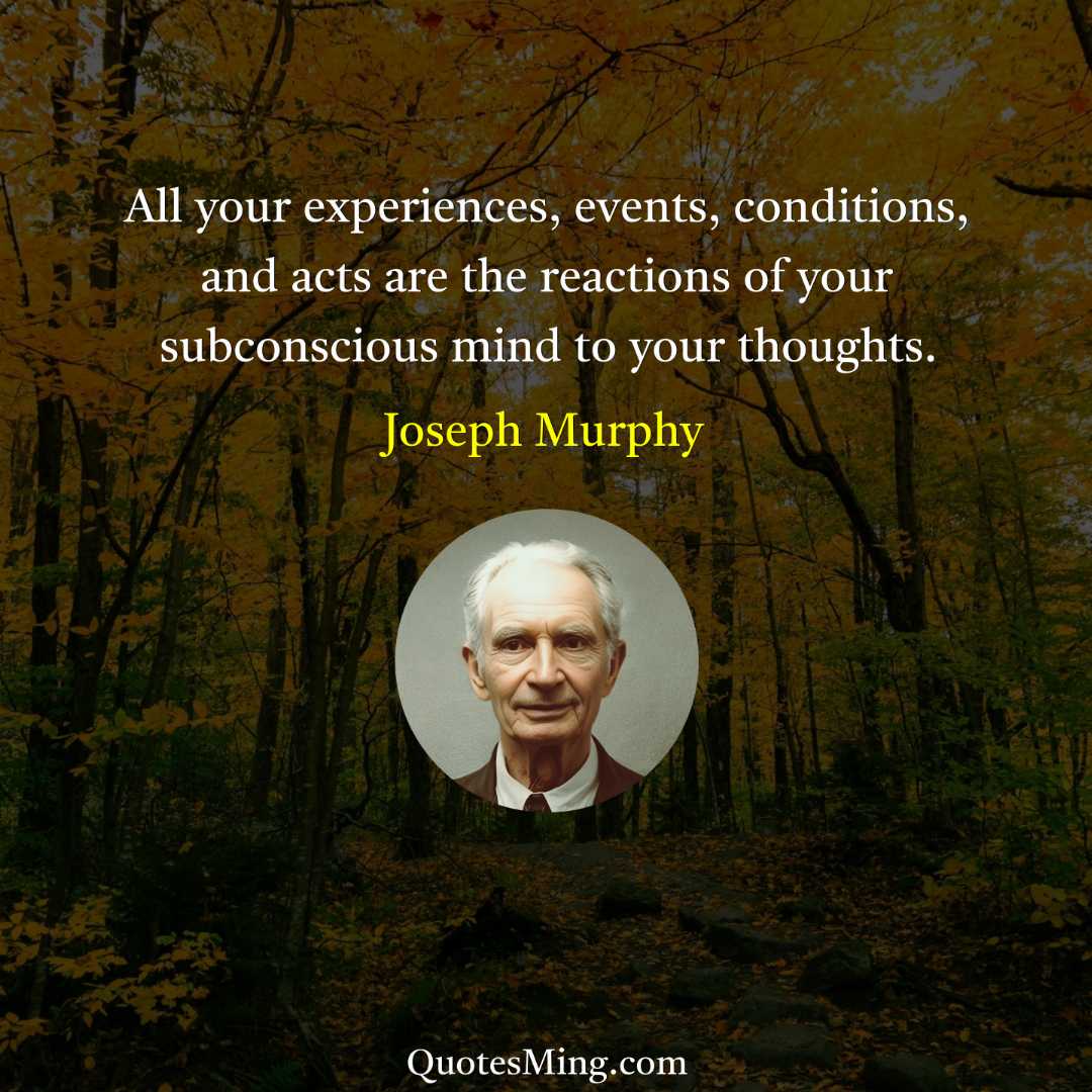 All your experiences events conditions and acts are the reactions