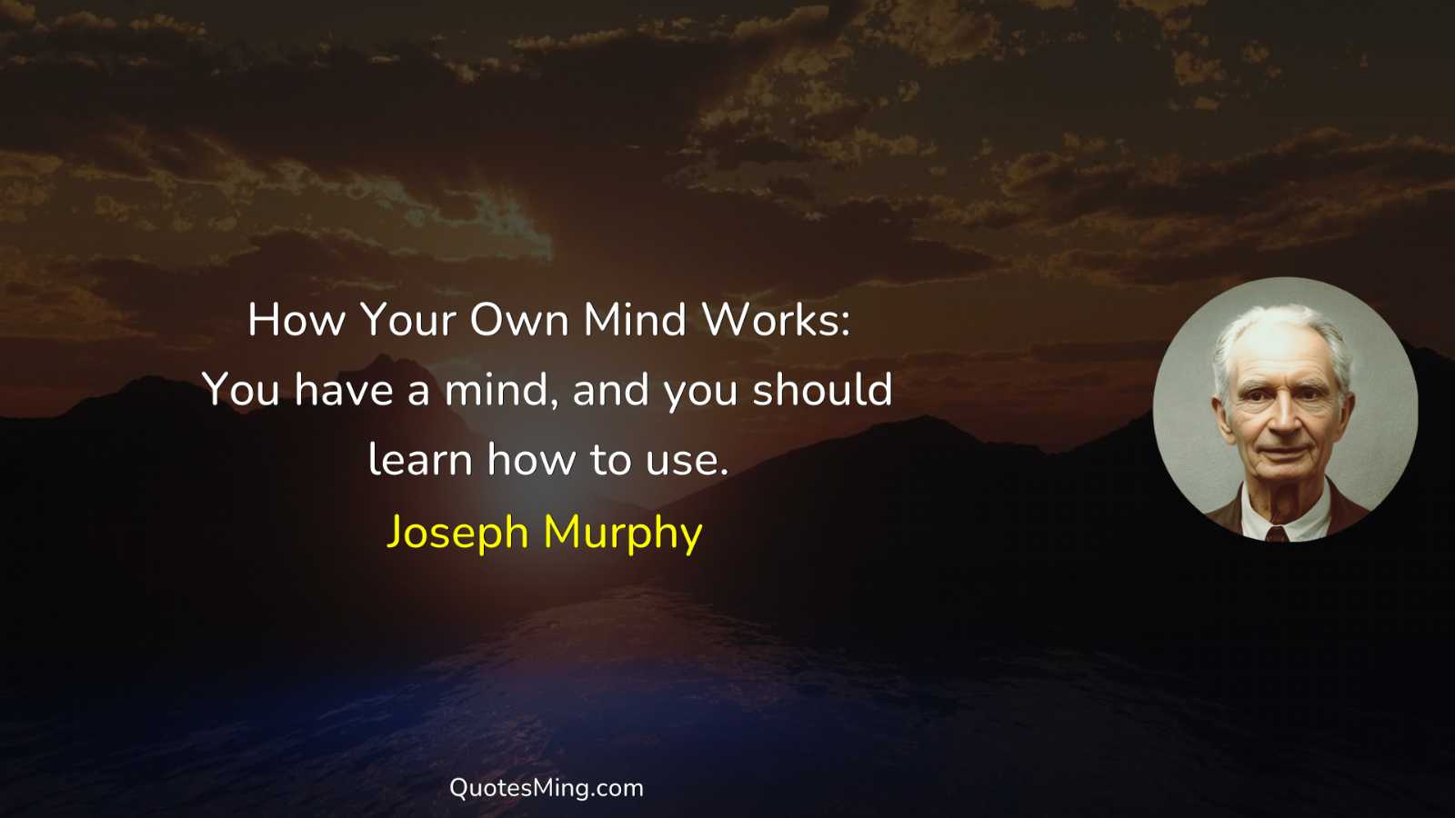 How Your Own Mind Works: You have a mind and